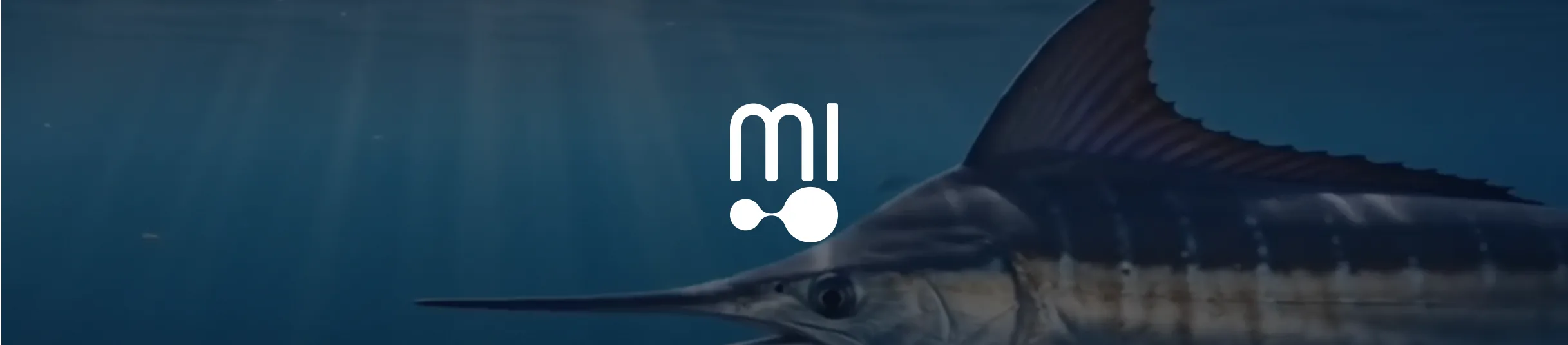 Marlin Intelligence