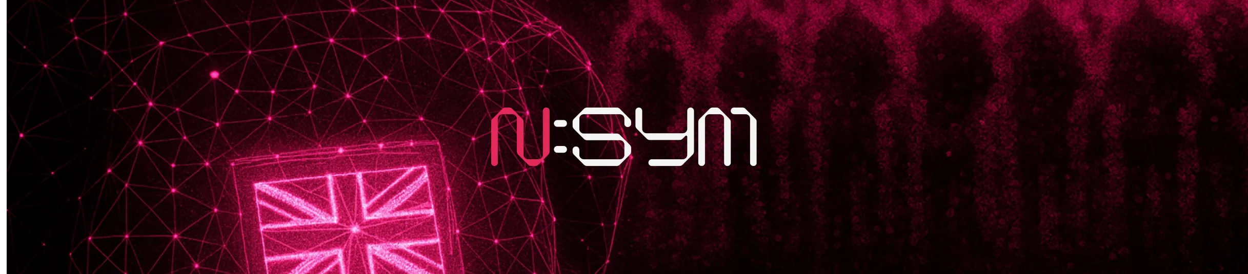 N:SYM