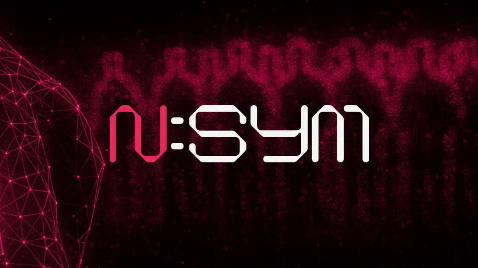 N:SYM