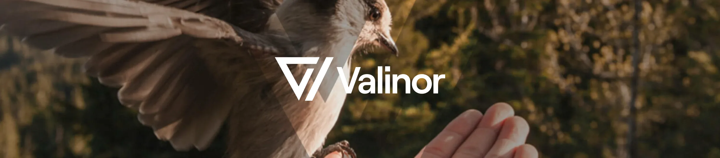 Valinor Intelligence