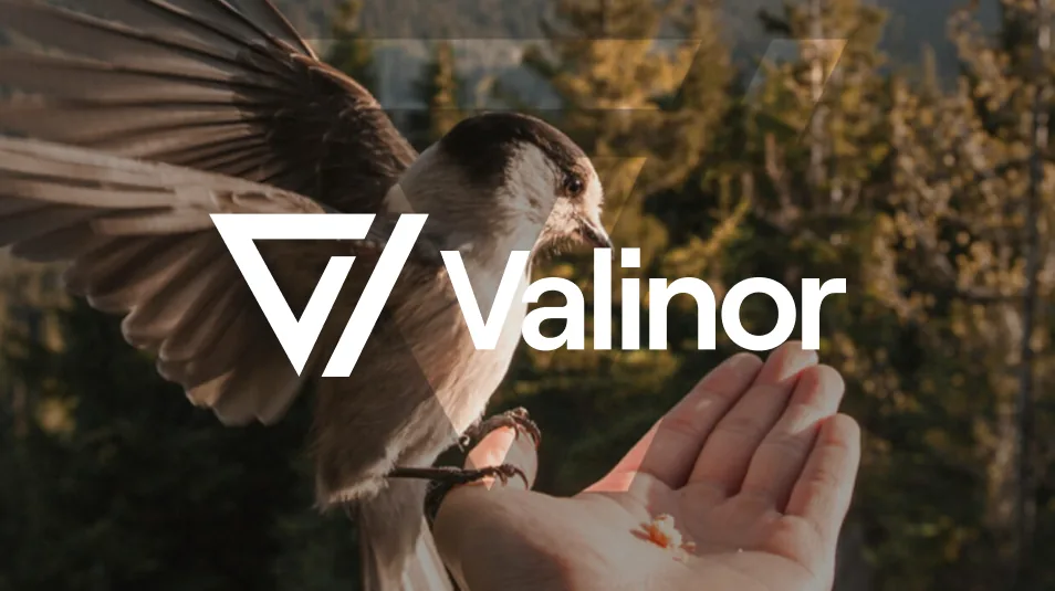 Valinor Intelligence